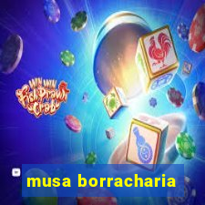 musa borracharia